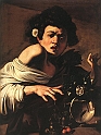 Caravaggio - Boy Bitten By A Lizard - Florence23